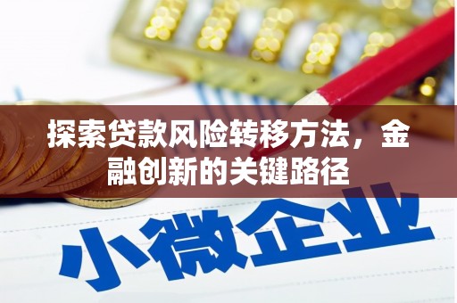保亭探索贷款风险转移方法，金融创新的关键路径