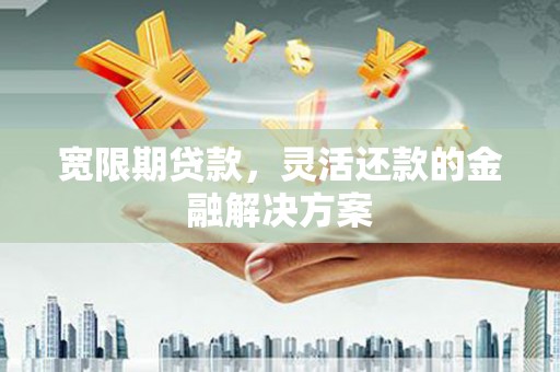 保亭宽限期贷款，灵活还款的金融解决方案