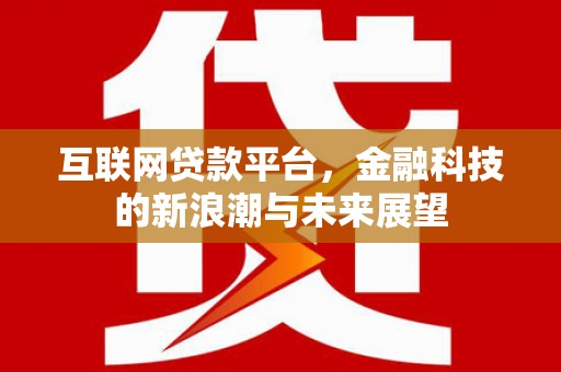保亭互联网贷款平台，金融科技的新浪潮与未来展望