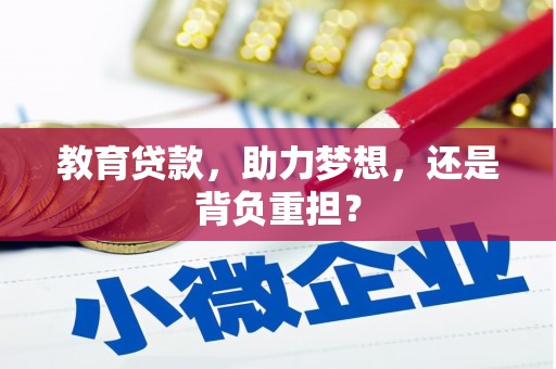保亭教育贷款，助力梦想，还是背负重担？