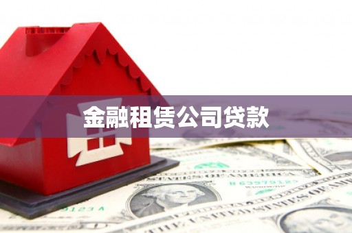 保亭金融租赁公司贷款