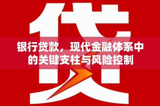 保亭银行贷款，现代金融体系中的关键支柱与风险控制