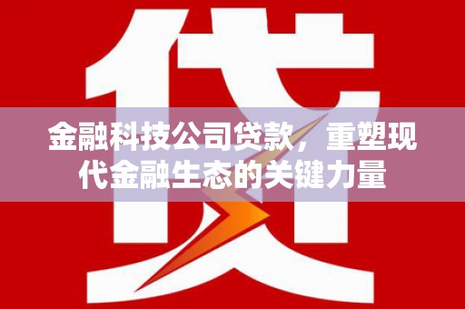 保亭金融科技公司贷款，重塑现代金融生态的关键力量
