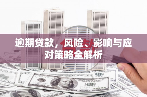 保亭逾期贷款，风险、影响与应对策略全解析