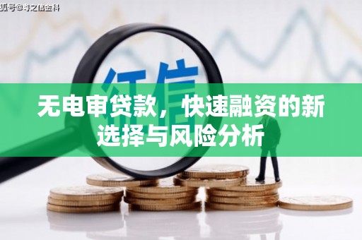 保亭无电审贷款，快速融资的新选择与风险分析