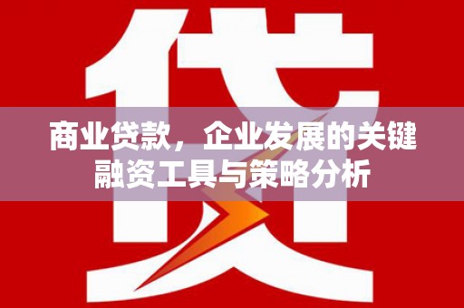 保亭商业贷款，企业发展的关键融资工具与策略分析