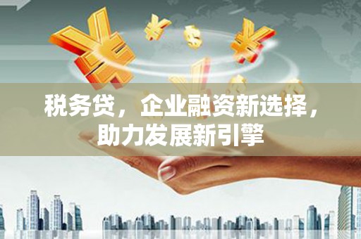保亭税务贷，企业融资新选择，助力发展新引擎