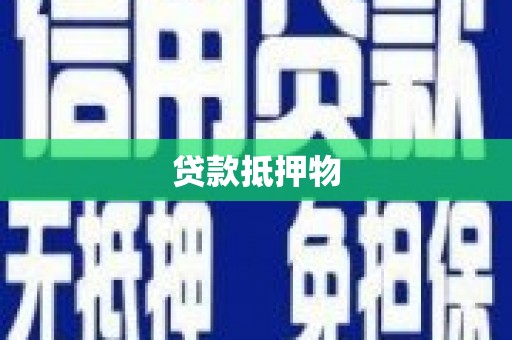 保亭贷款抵押物