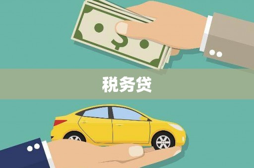 保亭税务贷