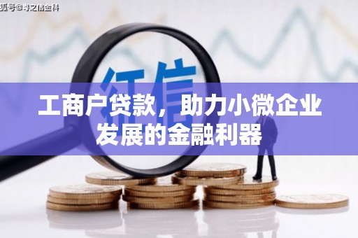 保亭工商户贷款，助力小微企业发展的金融利器