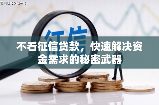 保亭不看征信贷款，快速解决资金需求的秘密武器