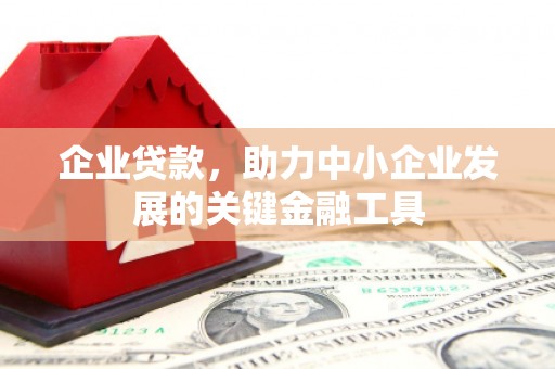 保亭企业贷款，助力中小企业发展的关键金融工具