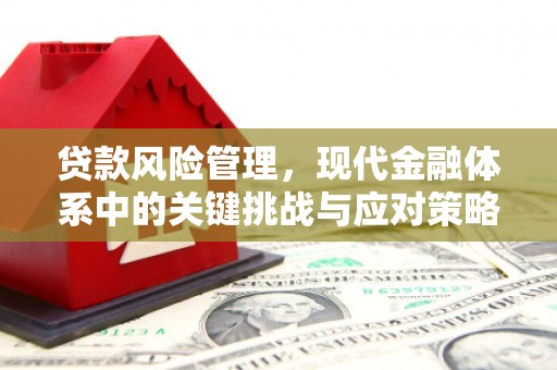 保亭贷款风险管理，现代金融体系中的关键挑战与应对策略