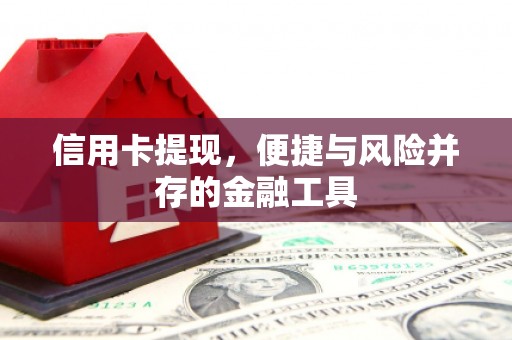 保亭信用卡提现，便捷与风险并存的金融工具