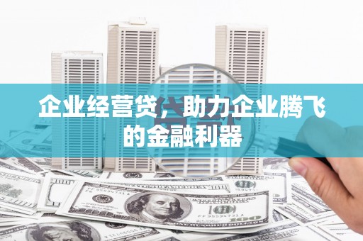 保亭企业经营贷，助力企业腾飞的金融利器