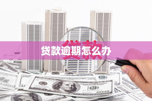 保亭贷款逾期怎么办