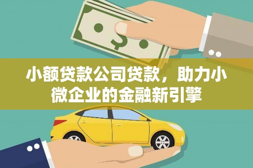 保亭小额贷款公司贷款，助力小微企业的金融新引擎