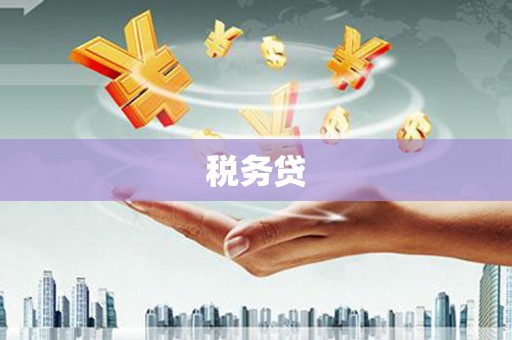 保亭税务贷
