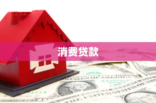 保亭消费贷款