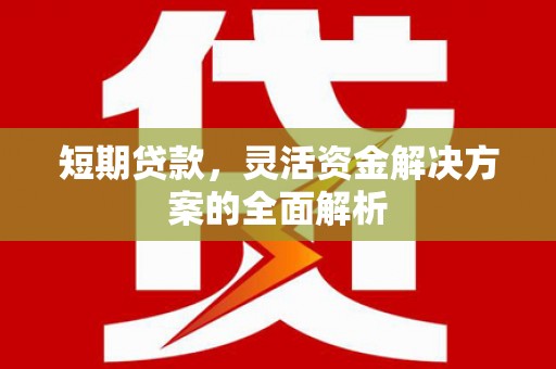 保亭短期贷款，灵活资金解决方案的全面解析