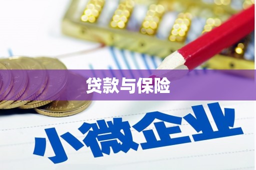 保亭贷款与保险