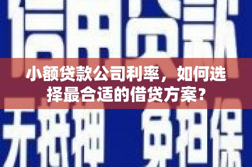 保亭小额贷款公司利率，如何选择最合适的借贷方案？