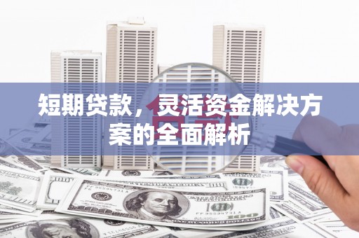 保亭短期贷款，灵活资金解决方案的全面解析