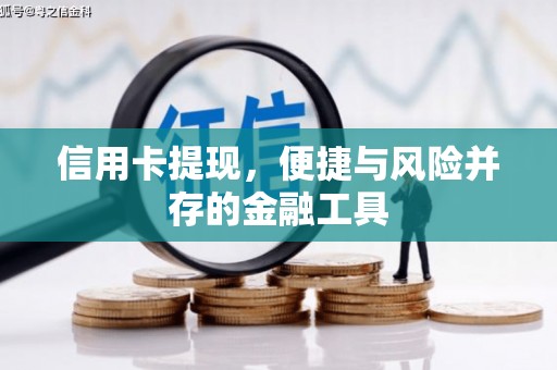 保亭信用卡提现，便捷与风险并存的金融工具
