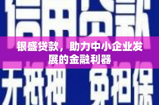 保亭银盛贷款，助力中小企业发展的金融利器