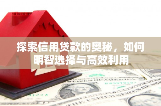 保亭探索信用贷款的奥秘，如何明智选择与高效利用