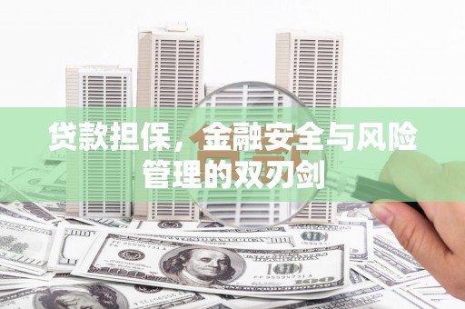 保亭贷款担保，金融安全与风险管理的双刃剑