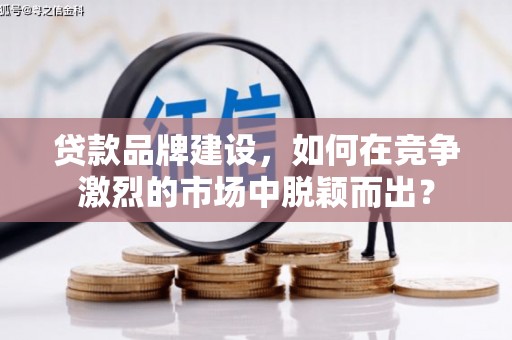 保亭贷款品牌建设，如何在竞争激烈的市场中脱颖而出？
