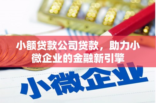 保亭小额贷款公司贷款，助力小微企业的金融新引擎