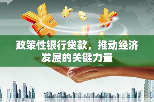 保亭政策性银行贷款，推动经济发展的关键力量