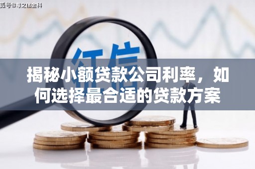 保亭揭秘小额贷款公司利率，如何选择最合适的贷款方案