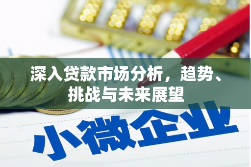 保亭深入贷款市场分析，趋势、挑战与未来展望