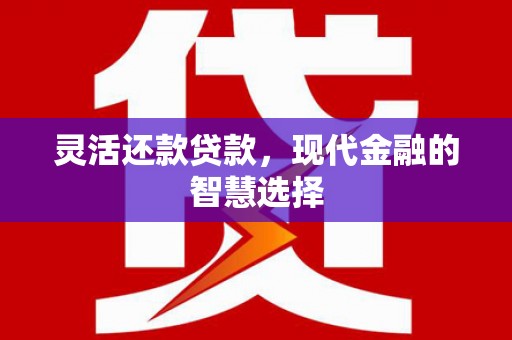 保亭灵活还款贷款，现代金融的智慧选择