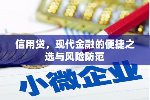 保亭信用贷，现代金融的便捷之选与风险防范