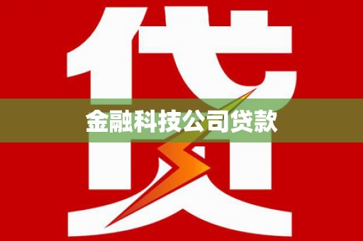 保亭金融科技公司贷款
