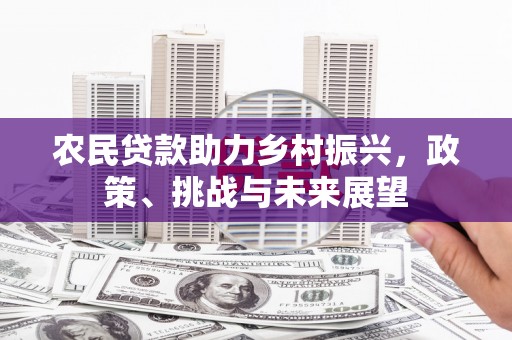 保亭农民贷款助力乡村振兴，政策、挑战与未来展望