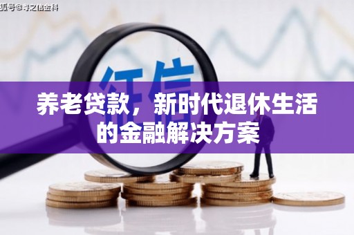 保亭养老贷款，新时代退休生活的金融解决方案