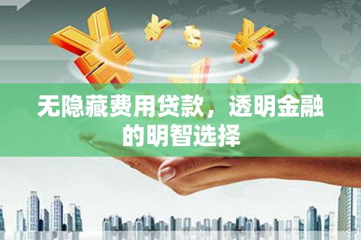 保亭无隐藏费用贷款，透明金融的明智选择