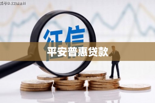 保亭平安普惠贷款
