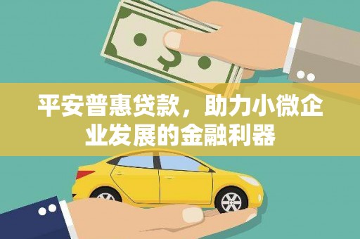 保亭平安普惠贷款，助力小微企业发展的金融利器