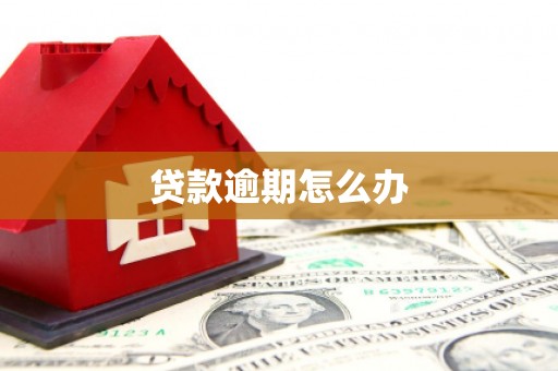 保亭贷款逾期怎么办