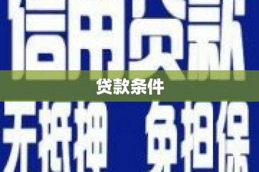 保亭贷款条件