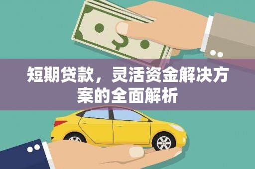 保亭短期贷款，灵活资金解决方案的全面解析