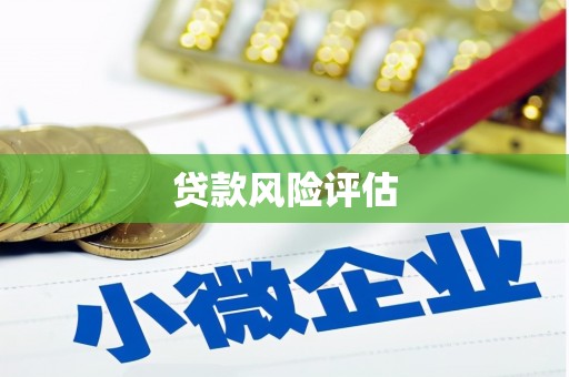保亭贷款风险评估