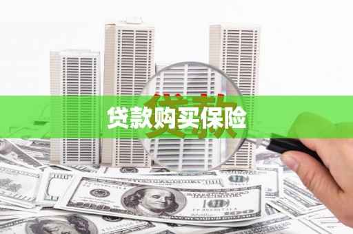 保亭贷款购买保险