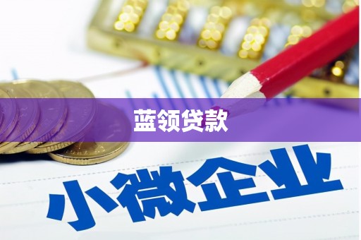 保亭蓝领贷款
